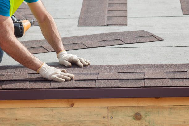 Best Roof Insulation Installation  in Oran, MO